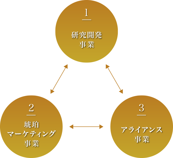 琥珀の力と無限の可能性