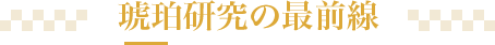 琥珀研究の最前線